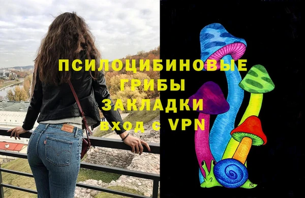 a pvp Богородицк